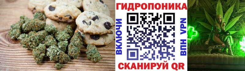 Купить где  Оханск  Cannafood конопля 