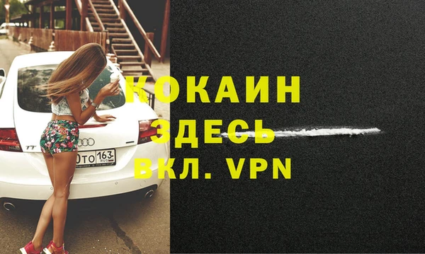 прущие грибы Краснотурьинск
