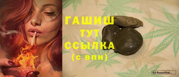 прущие грибы Краснотурьинск