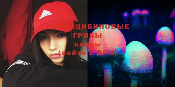 прущие грибы Краснотурьинск