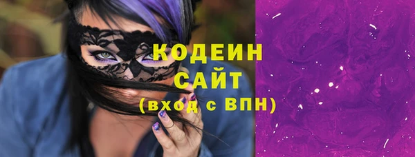 прущие грибы Краснотурьинск