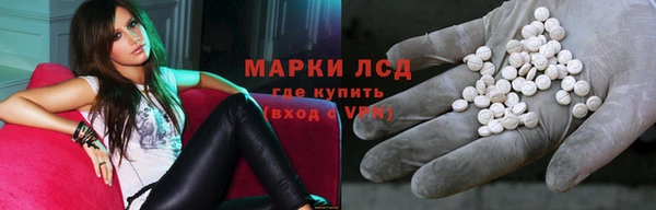 прущие грибы Краснотурьинск