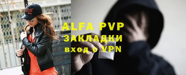 прущие грибы Краснотурьинск