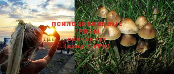 прущие грибы Краснотурьинск