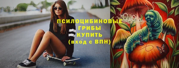 прущие грибы Краснотурьинск
