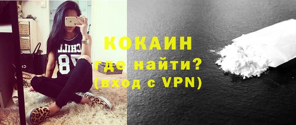 прущие грибы Краснотурьинск